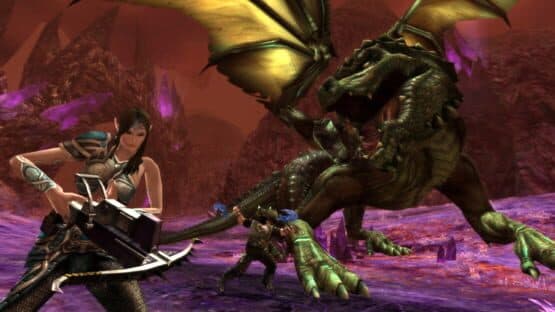 Dungeons & Dragons Online — screenshot 5