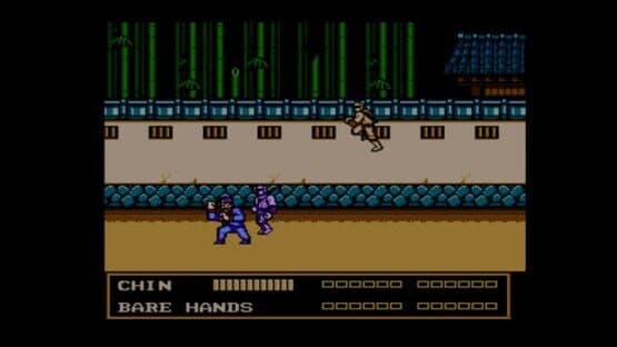Double Dragon III: The Sacred Stones — screenshot 3