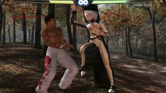 Dead or Alive 3 — screenshot 5