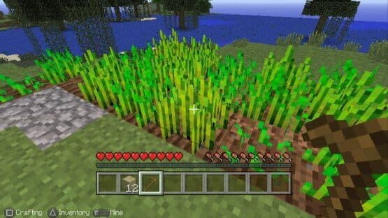 Minecraft: Playstation Vita Edition — screenshot 4