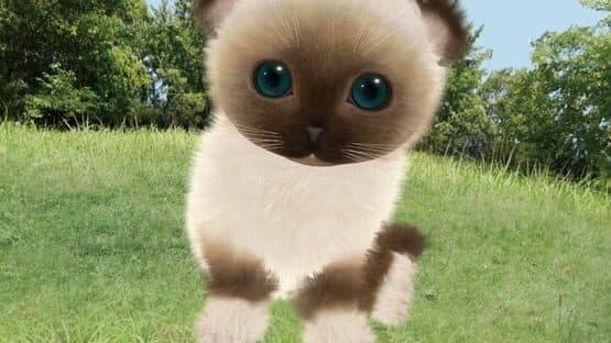 Aabs Animals — screenshot 2