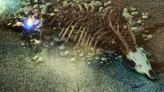 Beautiful Desolation — screenshot 4