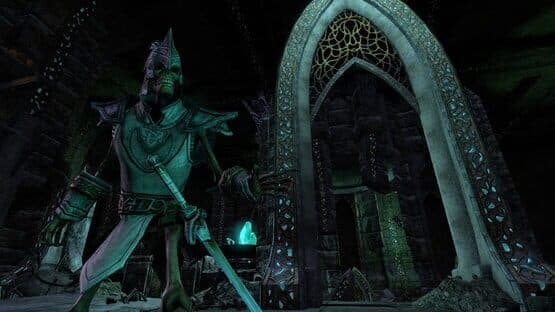 The Elder Scrolls Online — screenshot 2