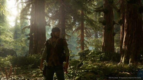 Days Gone — screenshot 1