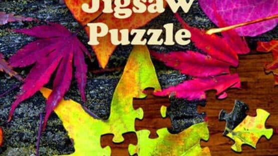 Jigsaw Puzzle Pro — screenshot 5
