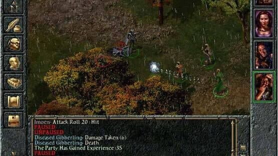Baldur's Gate — screenshot 4