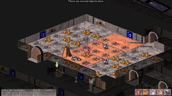 Vulture for NetHack — screenshot 2
