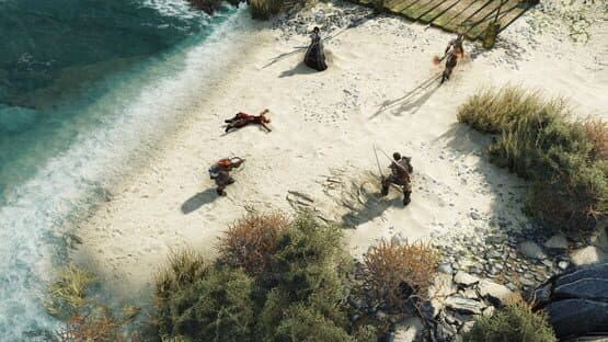 Divinity: Original Sin II — screenshot 4