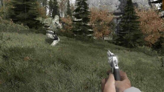 Arma II: DayZ — screenshot 5