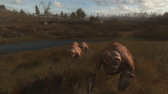 S.T.A.L.K.E.R.: Call of Pripyat — screenshot 3