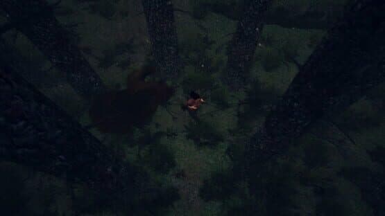 The Amazonian Dread — screenshot 6