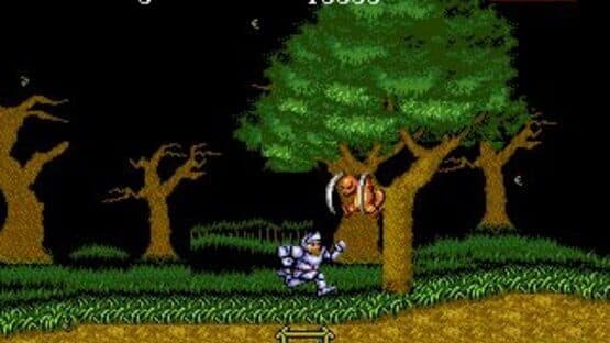 Ghouls 'n Ghosts — screenshot 1