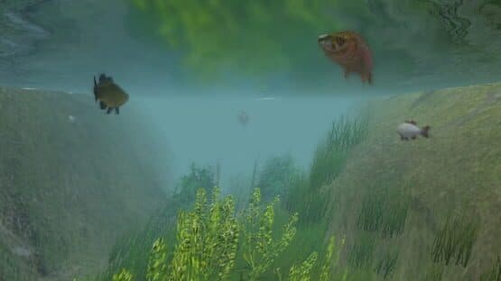European Fishing — screenshot 4
