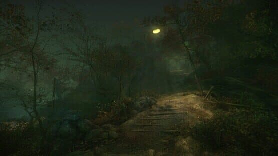 The Cursed Forest — screenshot 4