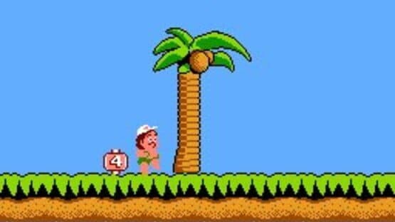 Hudson's Adventure Island — screenshot 4