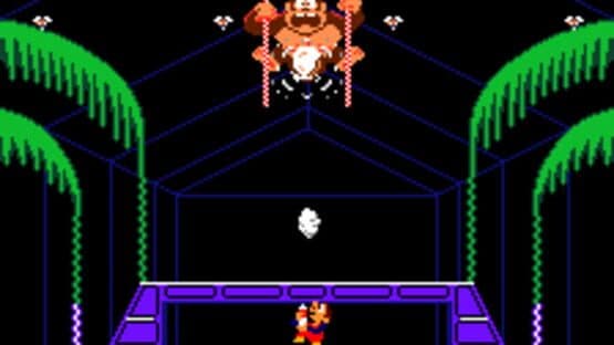 Donkey Kong 3 — screenshot 4
