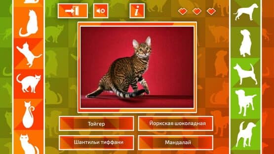 JQ: dogs & cats — screenshot 2