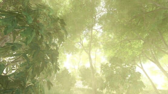 Vietcong — screenshot 2