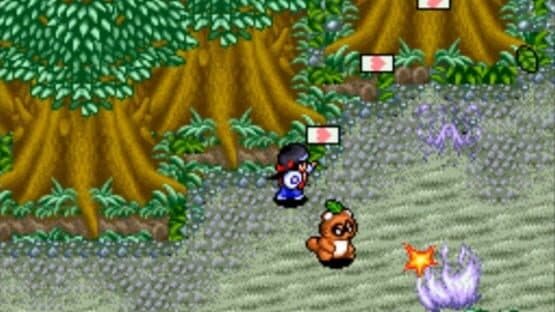 Pocky & Rocky 2 — screenshot 2