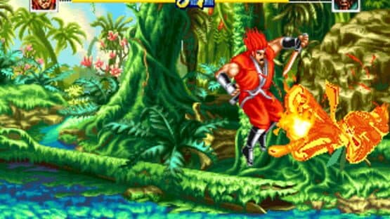 World Heroes Perfect — screenshot 6