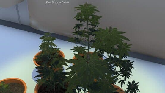 Dr GreenStuff — screenshot 2