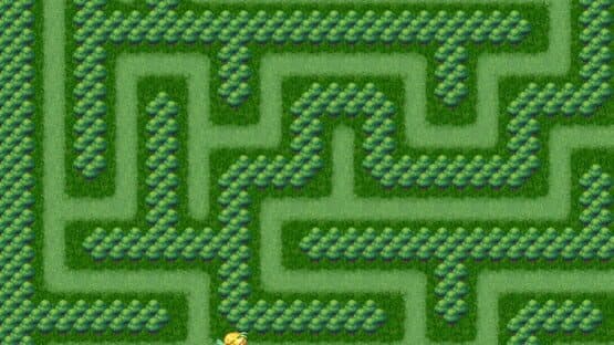 Maze Quest 1: The Forest — screenshot 2