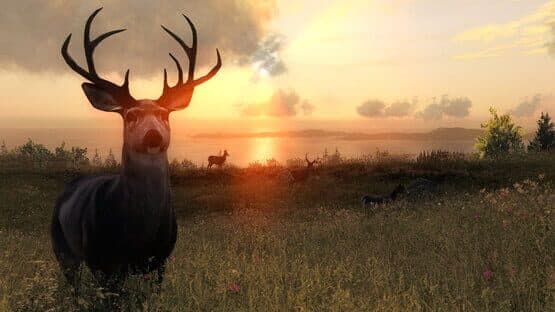 TheHunter Classic — screenshot 4