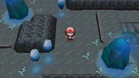 Pokémon Black Version — screenshot 1