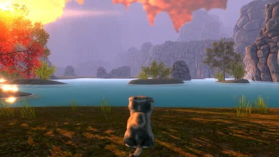 Kitten Super Adventure — screenshot 3
