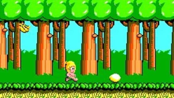 Wonder Boy — screenshot 5