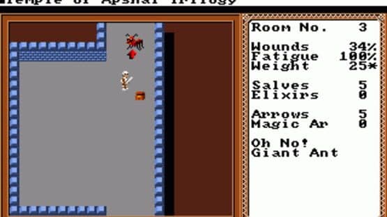 Temple of Apshai Trilogy — screenshot 1