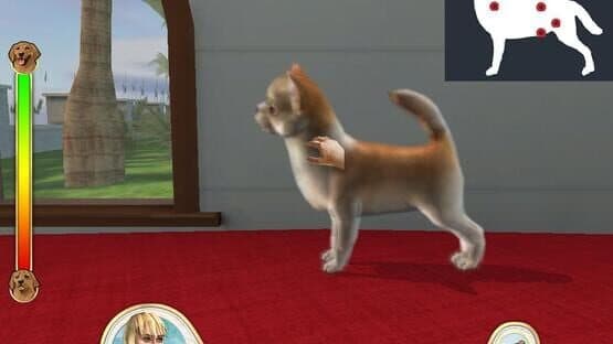 Paws & Claws: Pampered Pets — screenshot 5