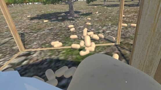 Chicken VR — screenshot 8
