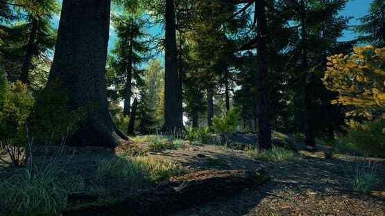 Vestige of the Past — screenshot 5