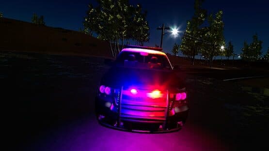 Police Enforcement VR : 1-K-27 — screenshot 2