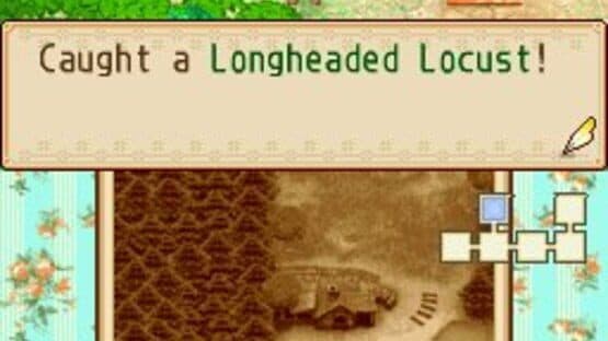 Harvest Moon DS: Grand Bazaar — screenshot 4