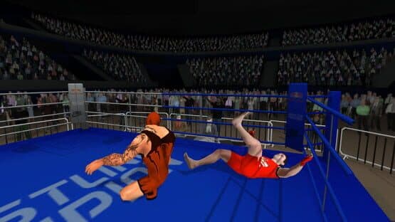 Wrestlers Without Boundaries — screenshot 4