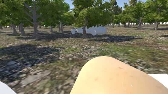 Chicken VR — screenshot 5