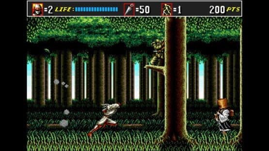 3D Shinobi III: Return of the Ninja Master — screenshot 5