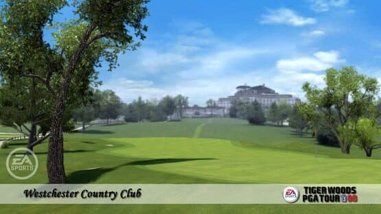 Tiger Woods PGA Tour 08 — screenshot 1