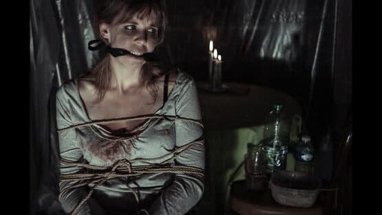 The Fan — screenshot 1