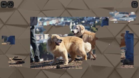 Puzzles for smart: Dogs — screenshot 5