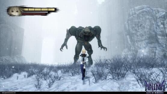Anima: Gate of Memories — screenshot 3
