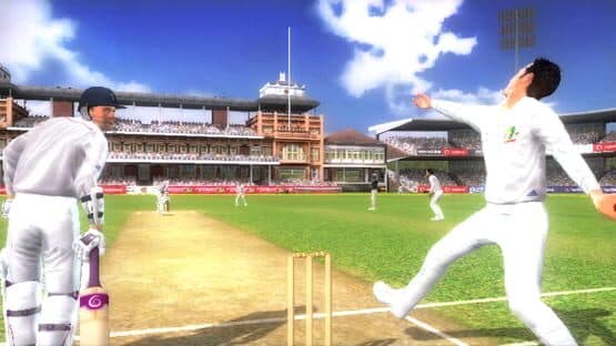 Ashes Cricket 2009 — screenshot 4