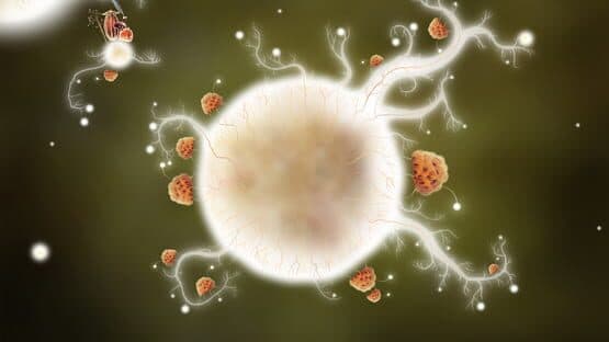 Botanicula — screenshot 4