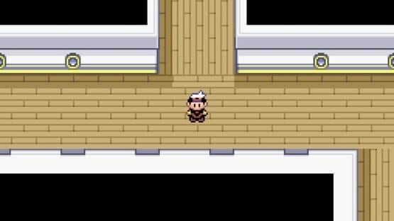 Pokémon Fusion Generation — screenshot 2