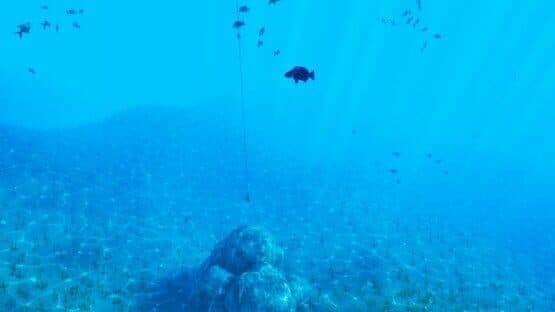 The Fishing Club 3D — screenshot 3
