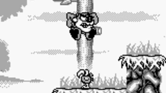 Taz-Mania — screenshot 1