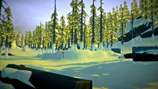 The Long Dark — screenshot 4