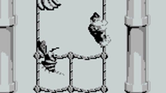 Donkey Kong Land — screenshot 5
